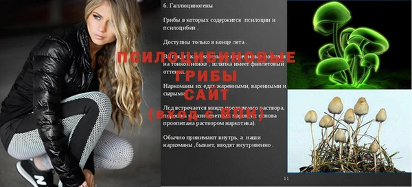 марки nbome Белокуриха
