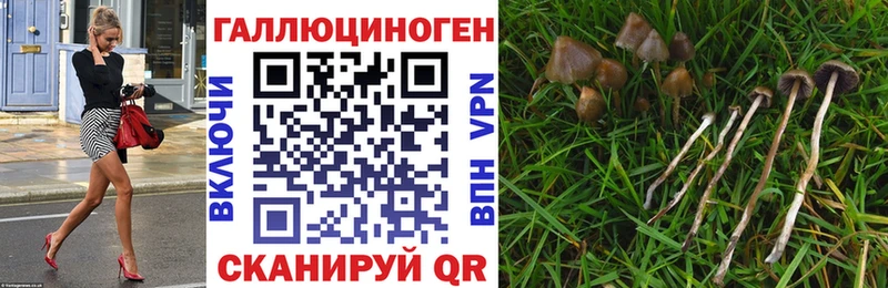 Галлюциногенные грибы мухоморы  Кодинск 
